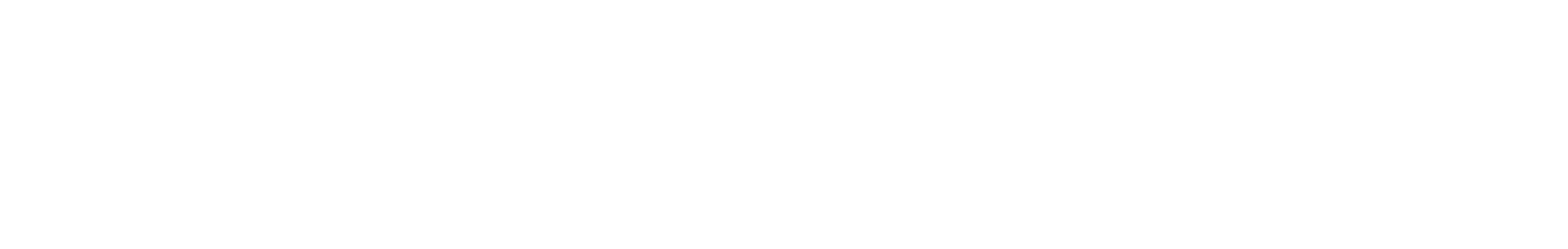 Borderless Mental logo